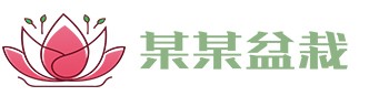 MILE米乐(集团) - MILE SPORTS